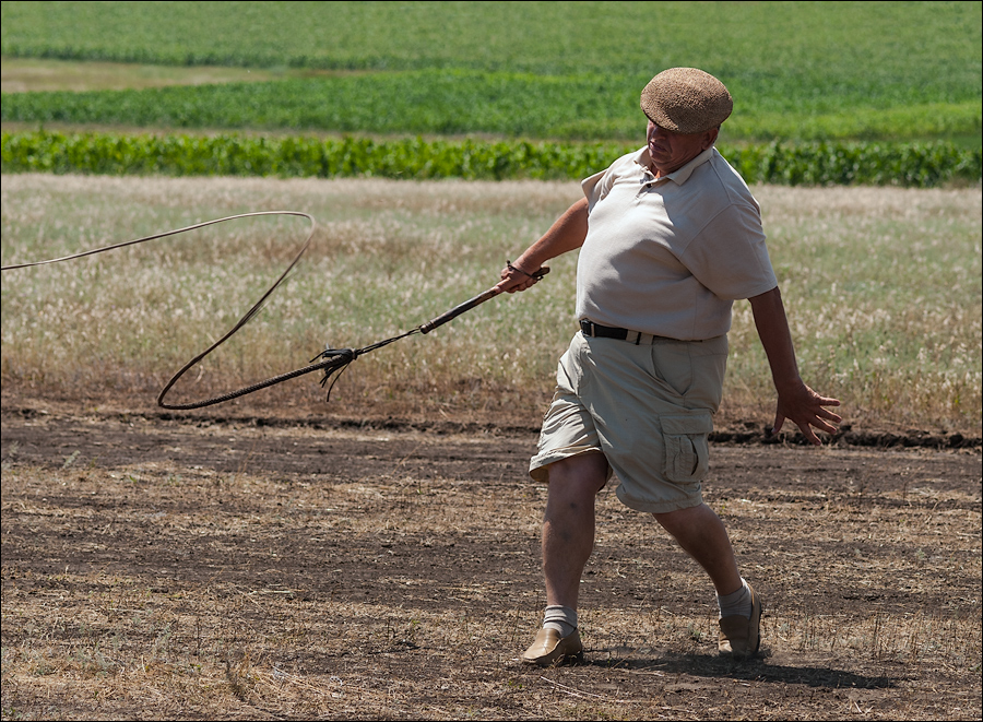 Tvardita 20150721203