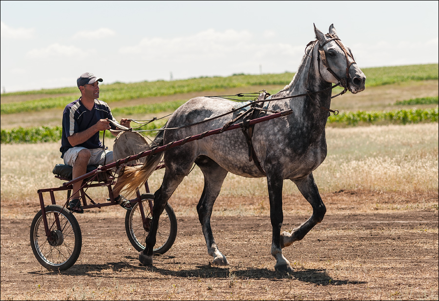 Tvardita 20150721209