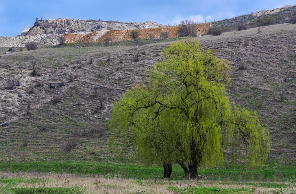 Brinzeni Gordinesti Fetesti 20210418 101