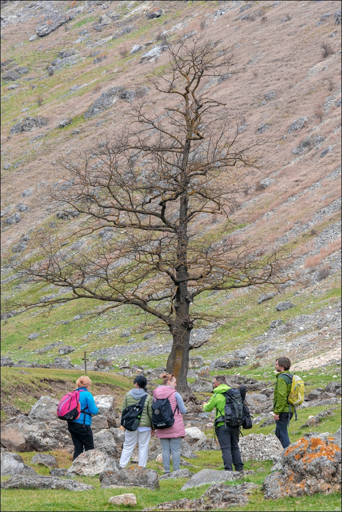 Brinzeni Gordinesti Fetesti 20210418 118