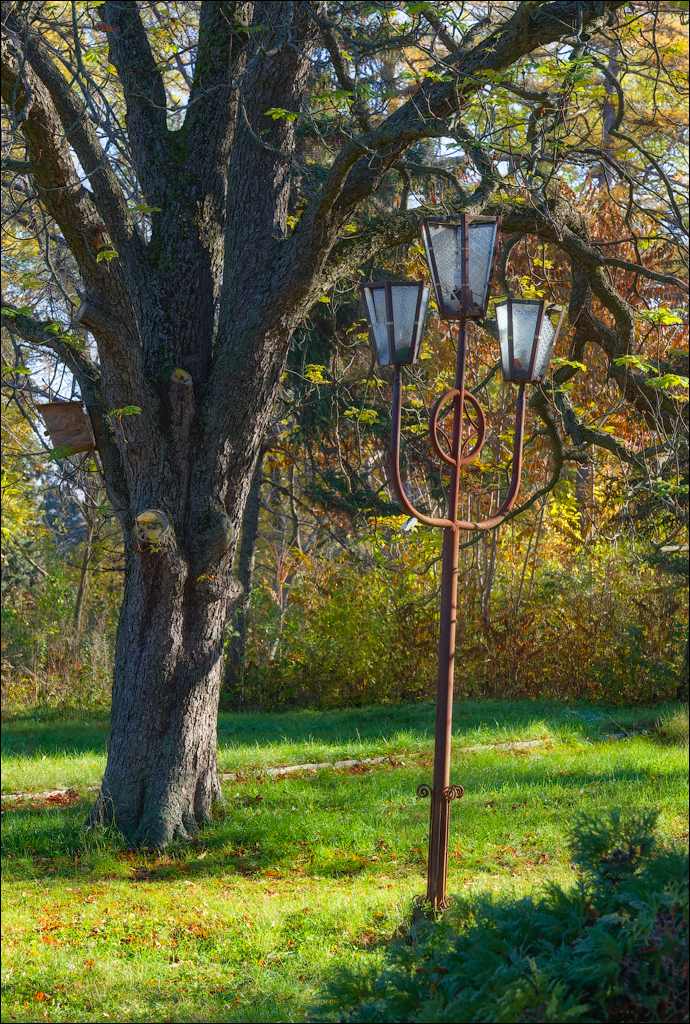 Taul Mindic Oliscani 2024 154