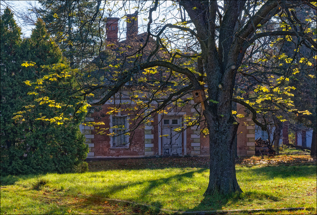 Taul Mindic Oliscani 2024 157