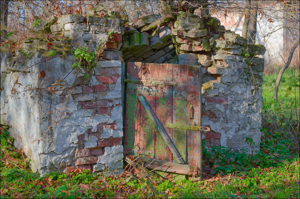 Taul Mindic Oliscani 2024 200