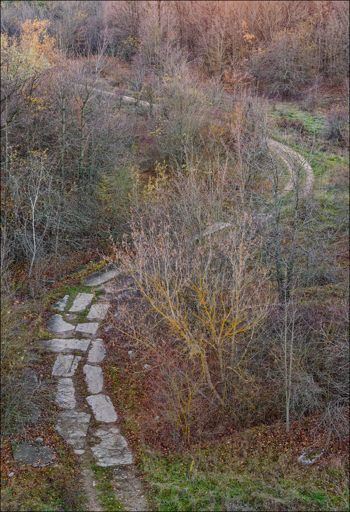 Taul Mindic Oliscani 2024 226