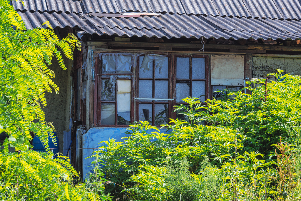 Bahmut Vererita Sinesti Cornesti 10 11jul2021 134