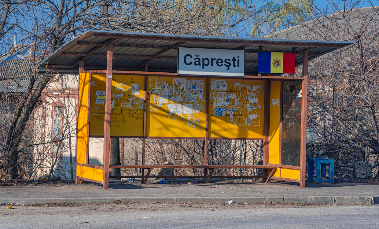 Capresti Cazanesti 10mar2024100
