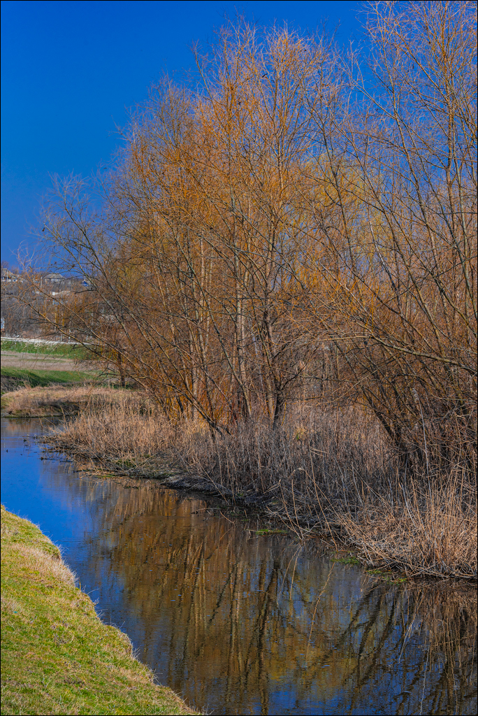 Capresti Cazanesti 10mar2024169