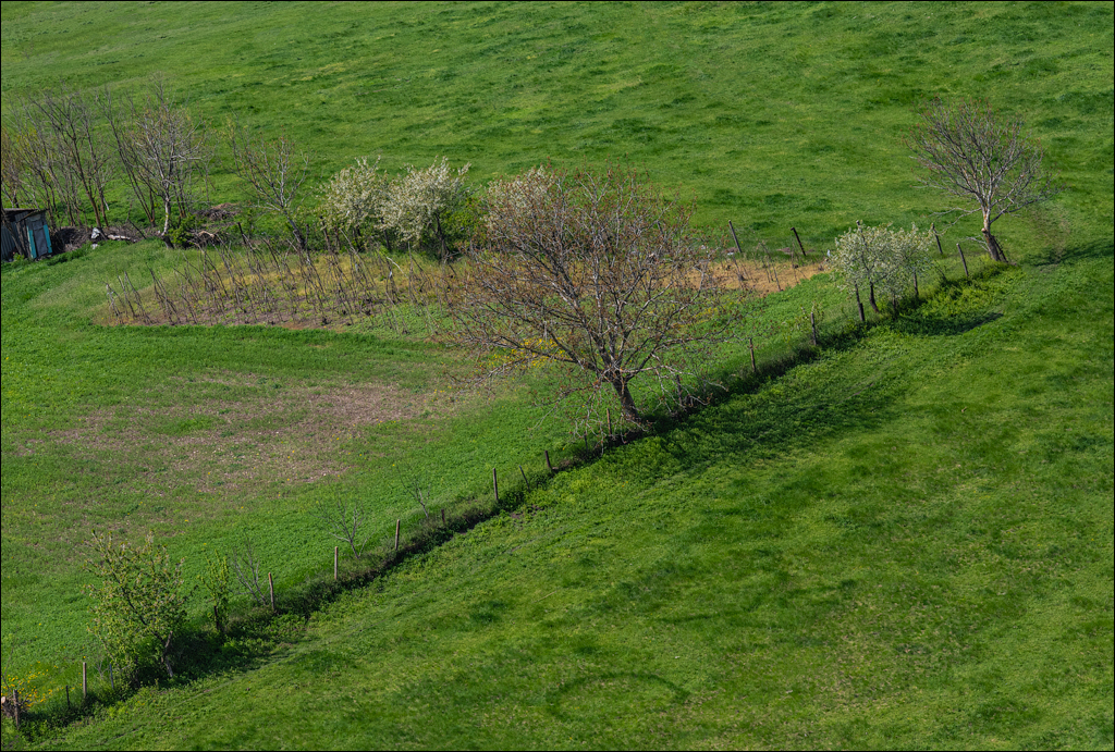 Ciuhur Horodiste Stolniceni 2021059 10 135