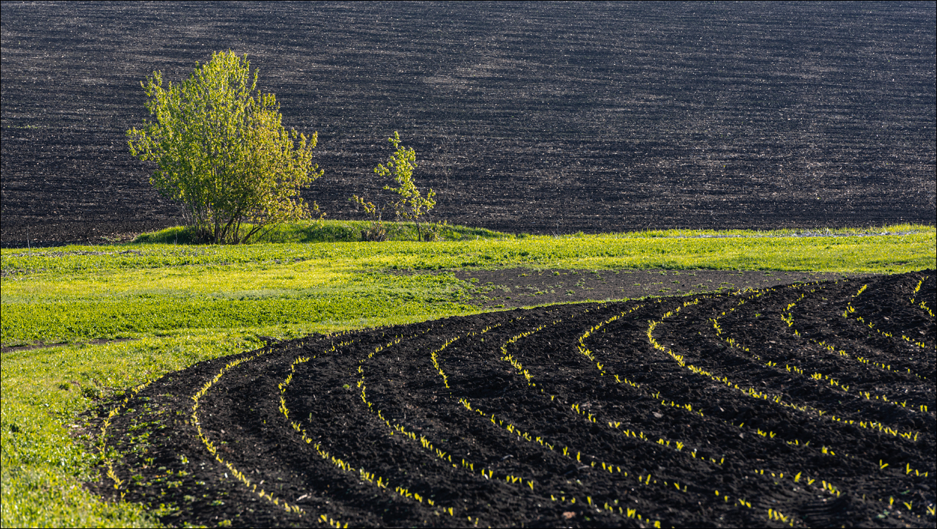 Ciuhur Horodiste Stolniceni 2021059 10 173