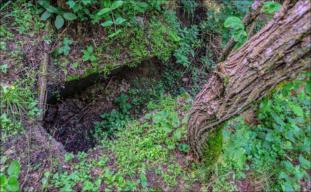 Cuhuresti Cobilea Dobrusa 26 27jun2021 204