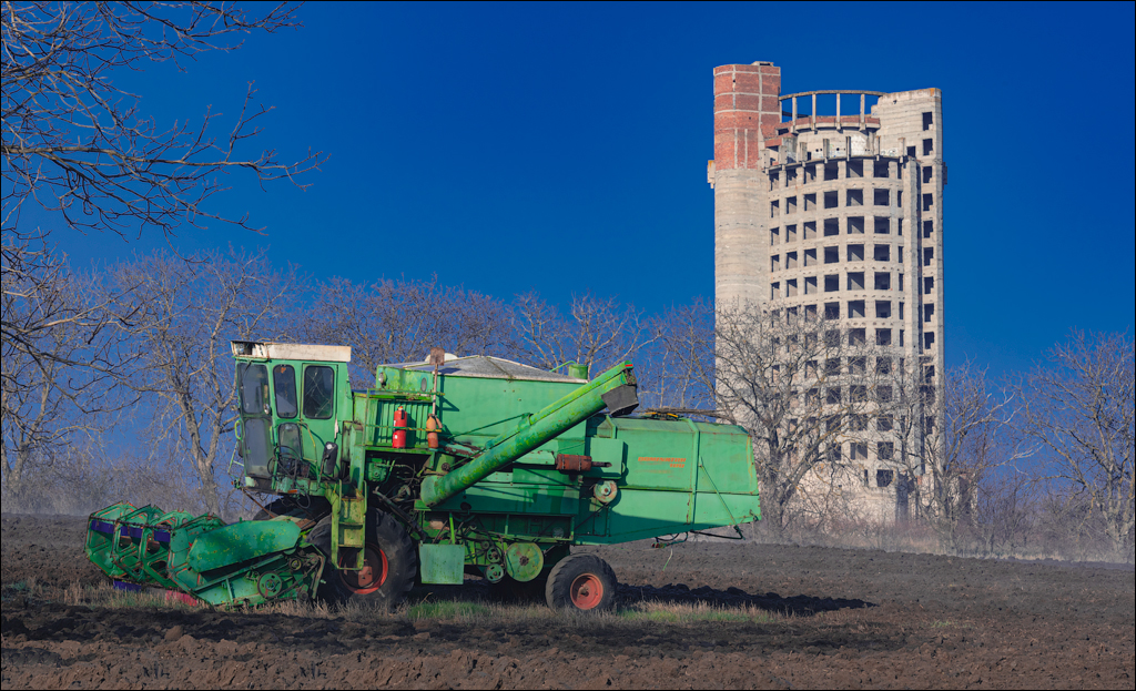 Danceni GrapeInst 24mar2024 101