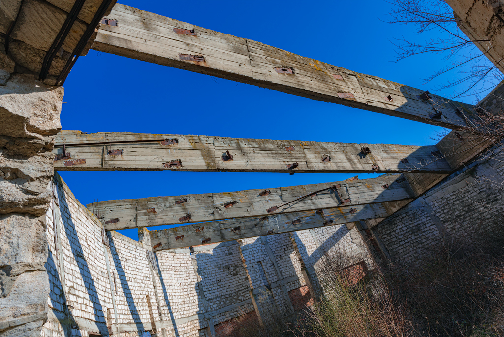 Danceni GrapeInst 24mar2024 106