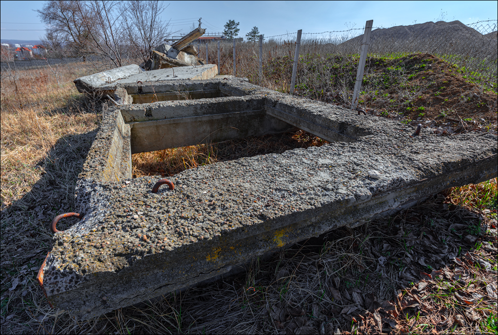 Danceni GrapeInst 24mar2024 115