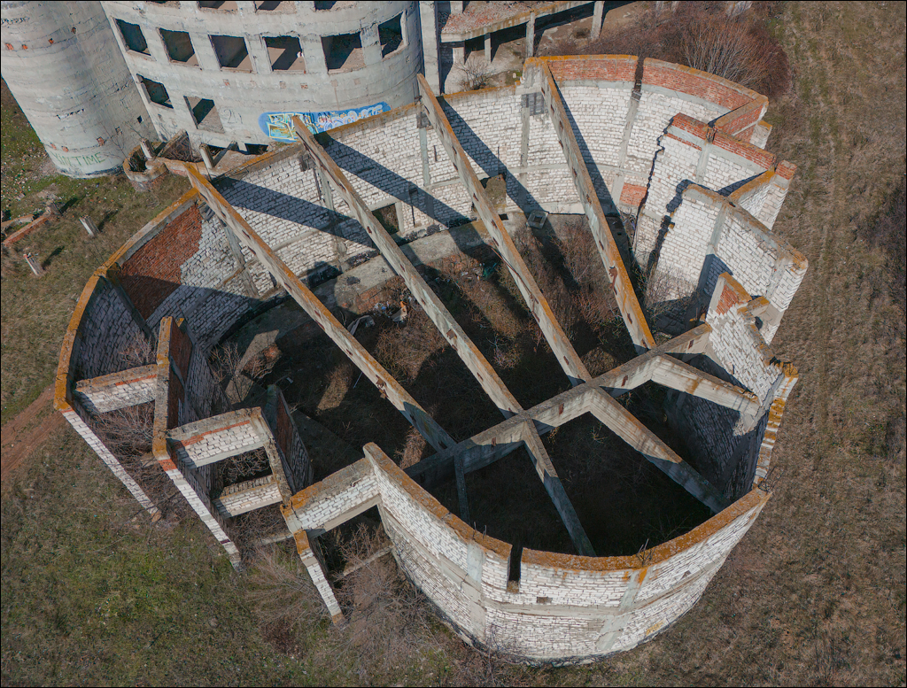 Danceni GrapeInst 24mar2024 125