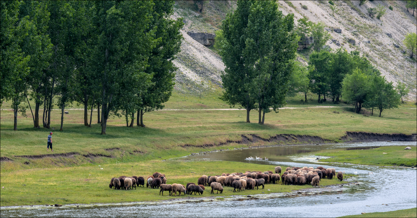 Domulgeni Ordasei may2018 04820180526