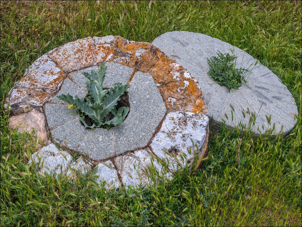 Domulgeni Ordasei may2018 07320180526