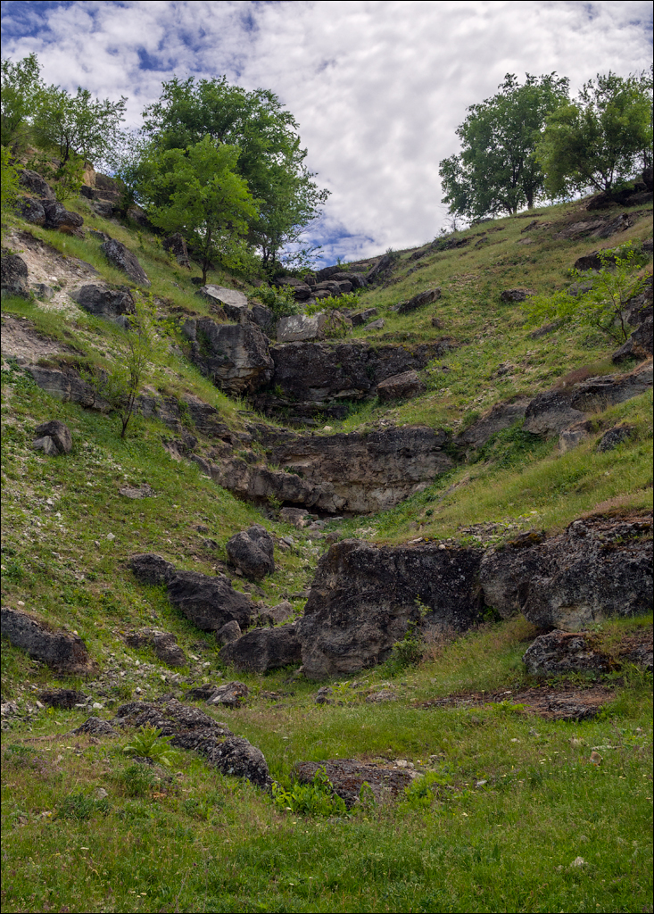 Domulgeni Ordasei may2018 07620180526