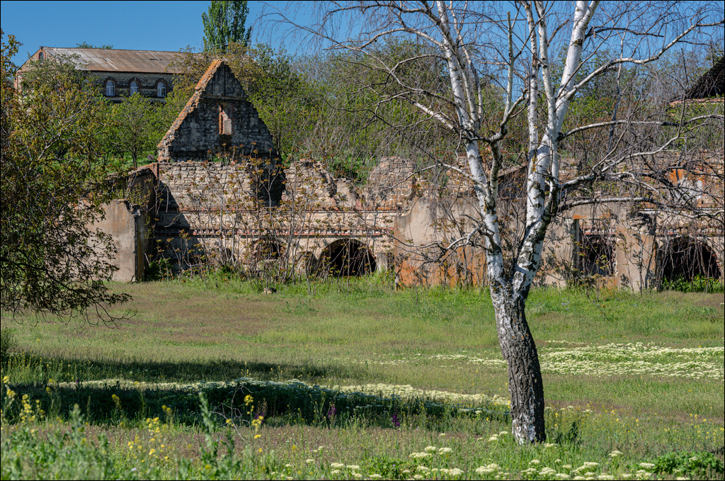 GuraBicului Dragalina 20210515 139