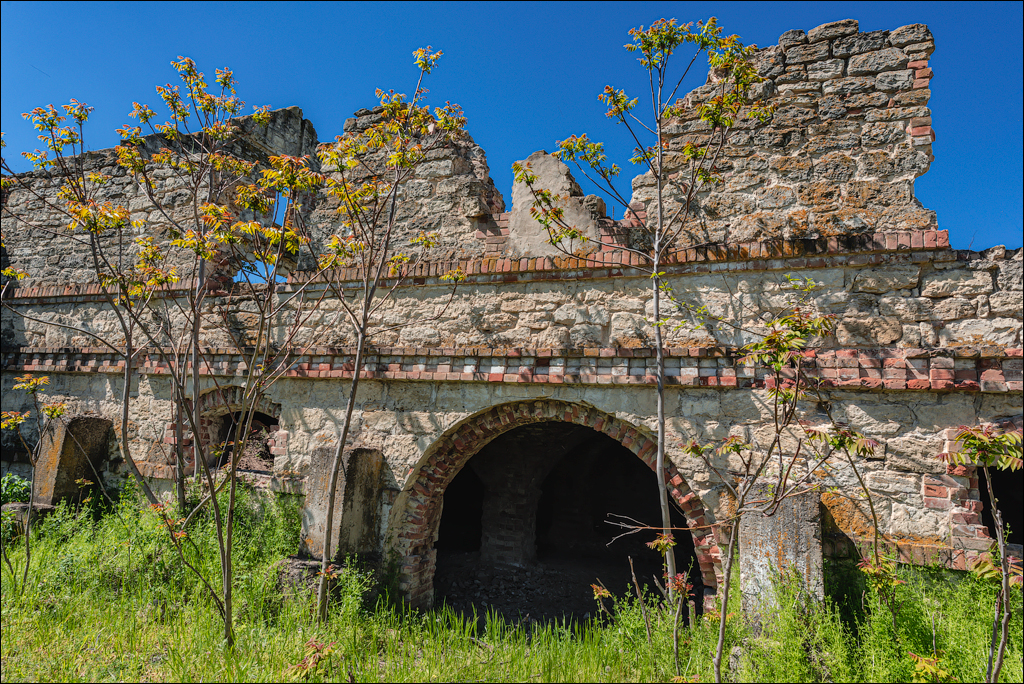 GuraBicului Dragalina 20210515 151