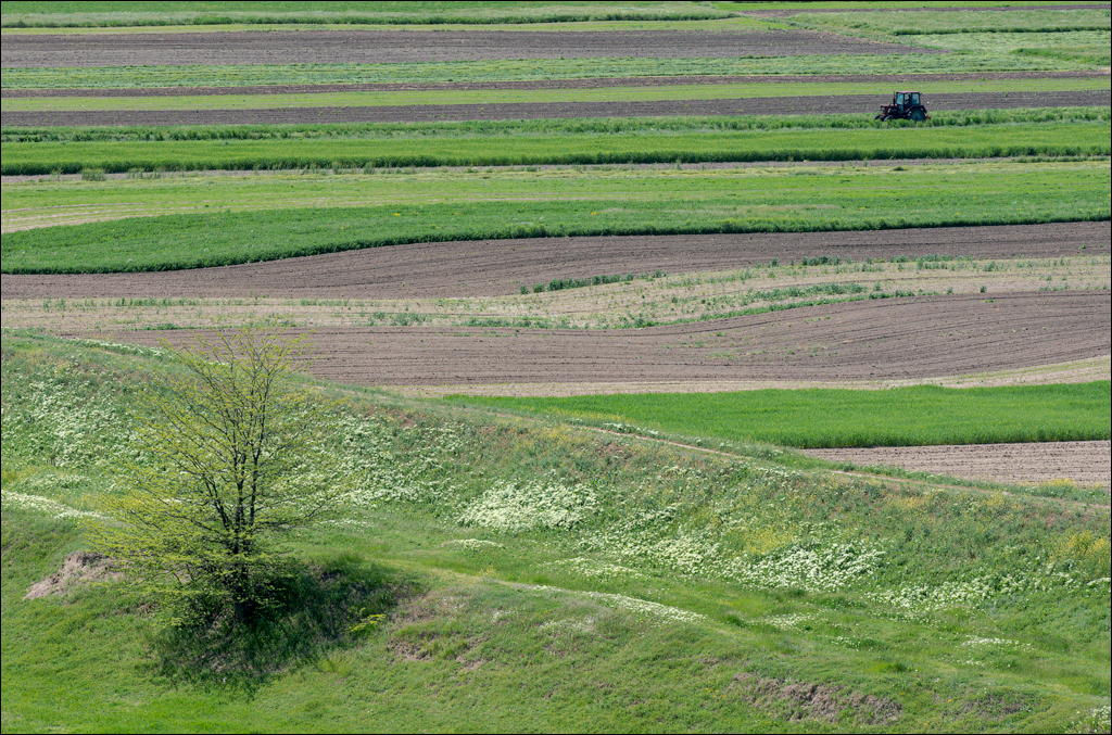 GuraBicului Dragalina 20210515 193