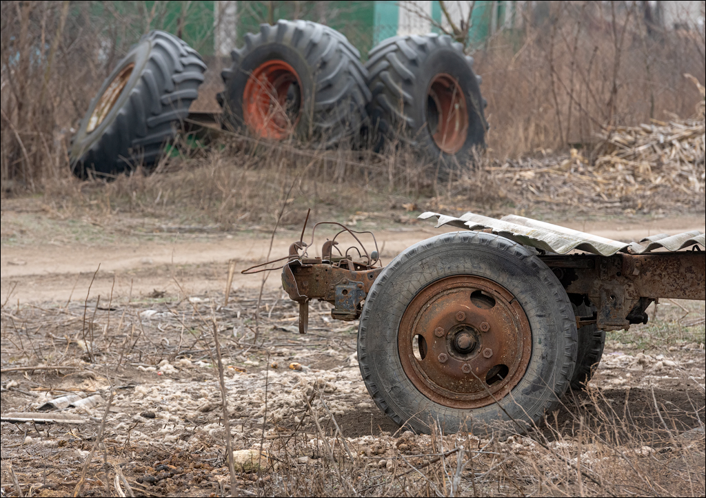 GuraCamencii Floresti 22022020 09