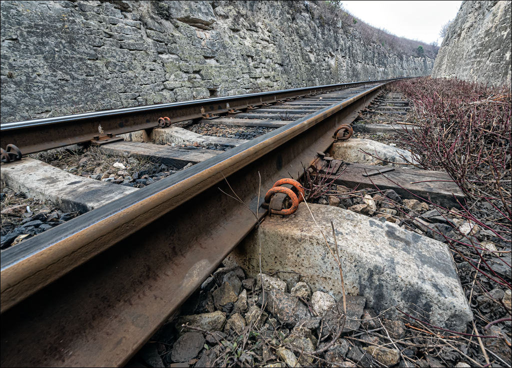 GuraCamencii Floresti 22022020 26