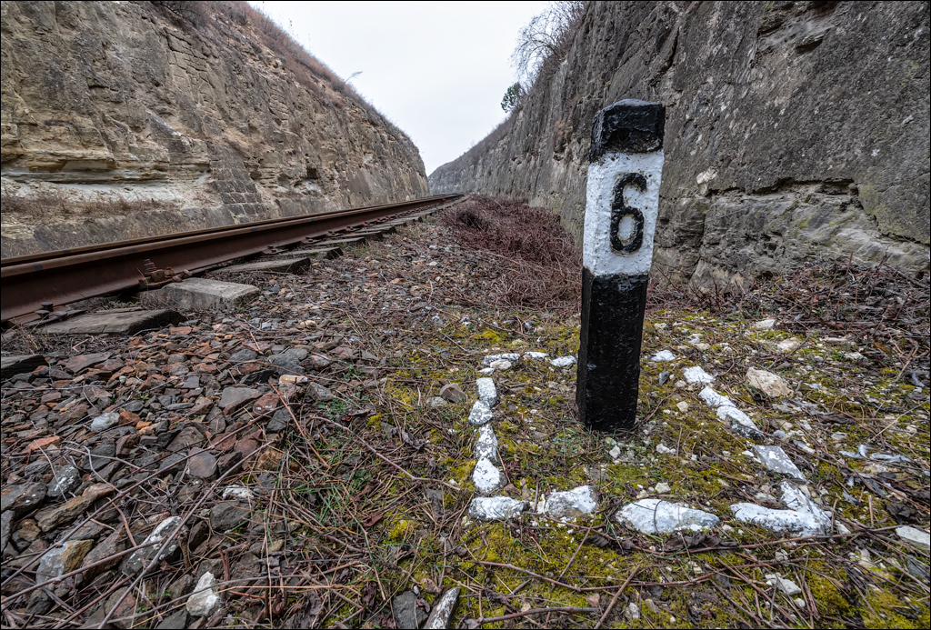 GuraCamencii Floresti 22022020 28