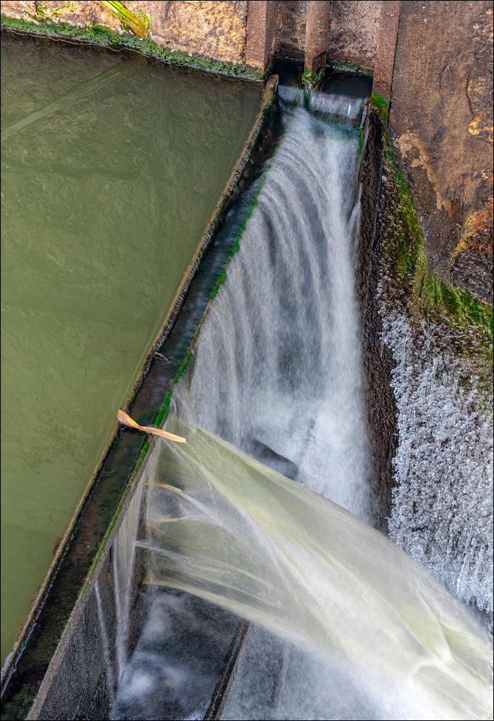 GuraCamencii Floresti 22022020 53