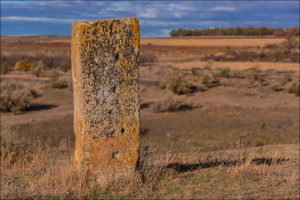 Rogojeni Domulgeni 28oct2023 105