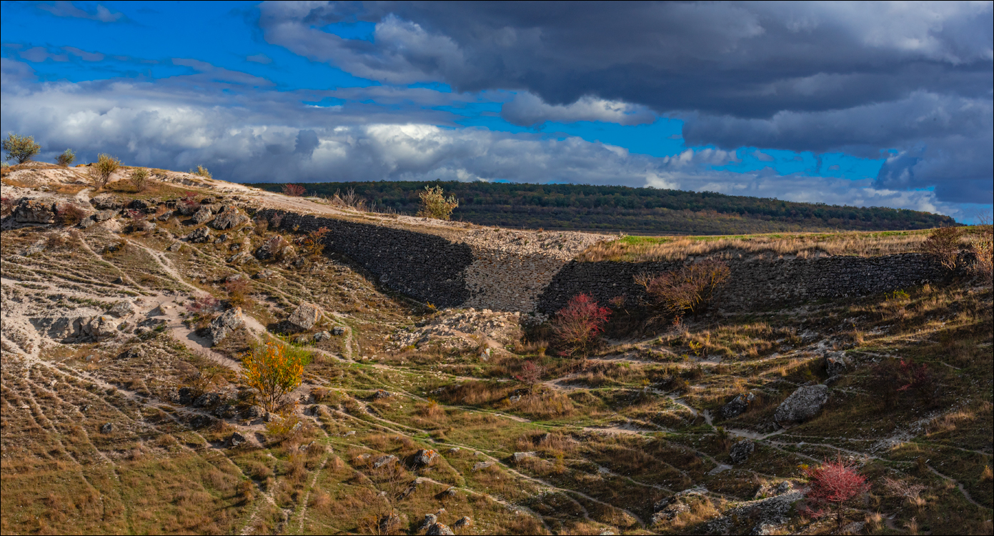 Rogojeni Domulgeni 28oct2023 143