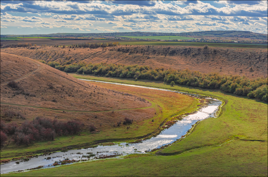 Rogojeni Domulgeni 28oct2023 146