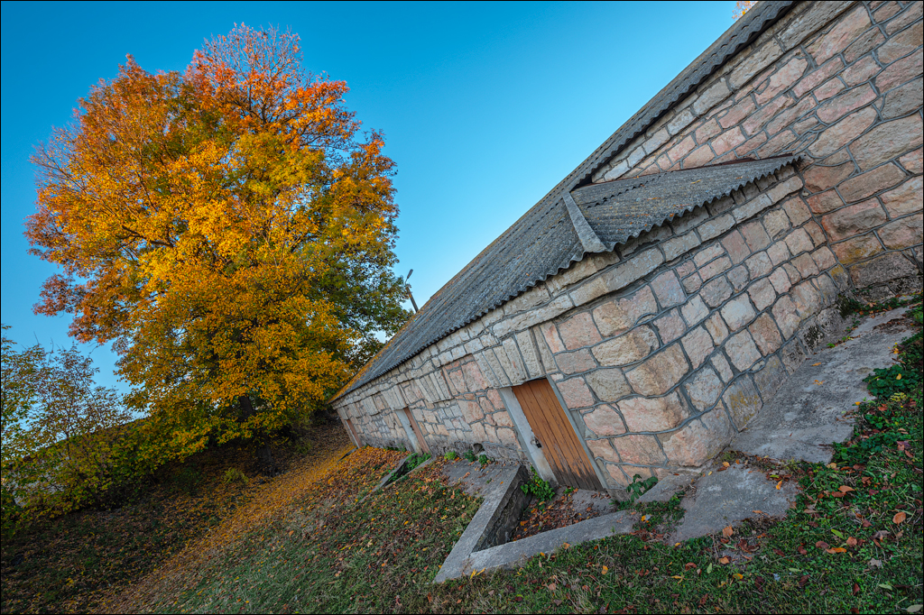 Rogojeni Tira Ghindesti 28122019 108