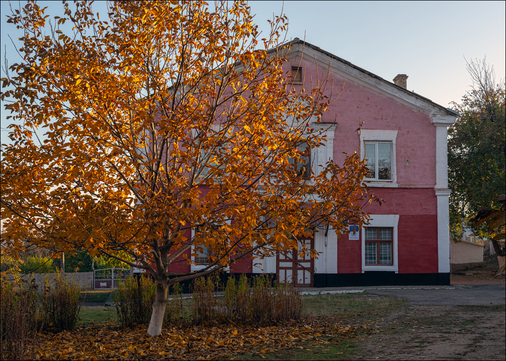 Rogojeni Tira Ghindesti 28122019 112