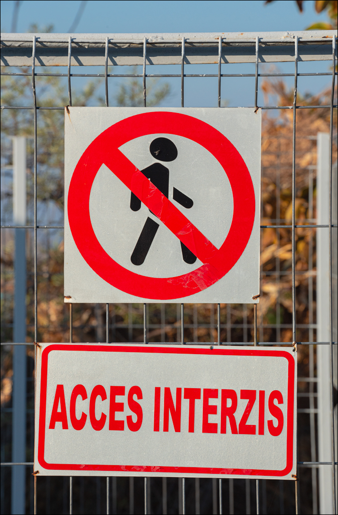 Rogojeni Tira Ghindesti 28122019 130