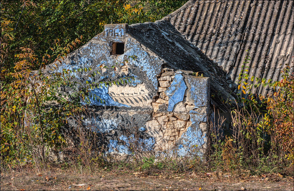 Rogojeni Tira Ghindesti 28122019 148
