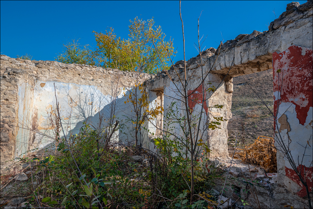 Rogojeni Tira Ghindesti 28122019 153