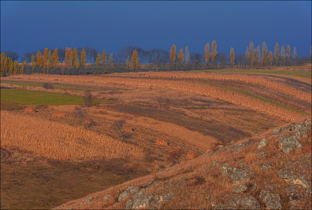 Trinca Gordinesti 29 30oct2021 112
