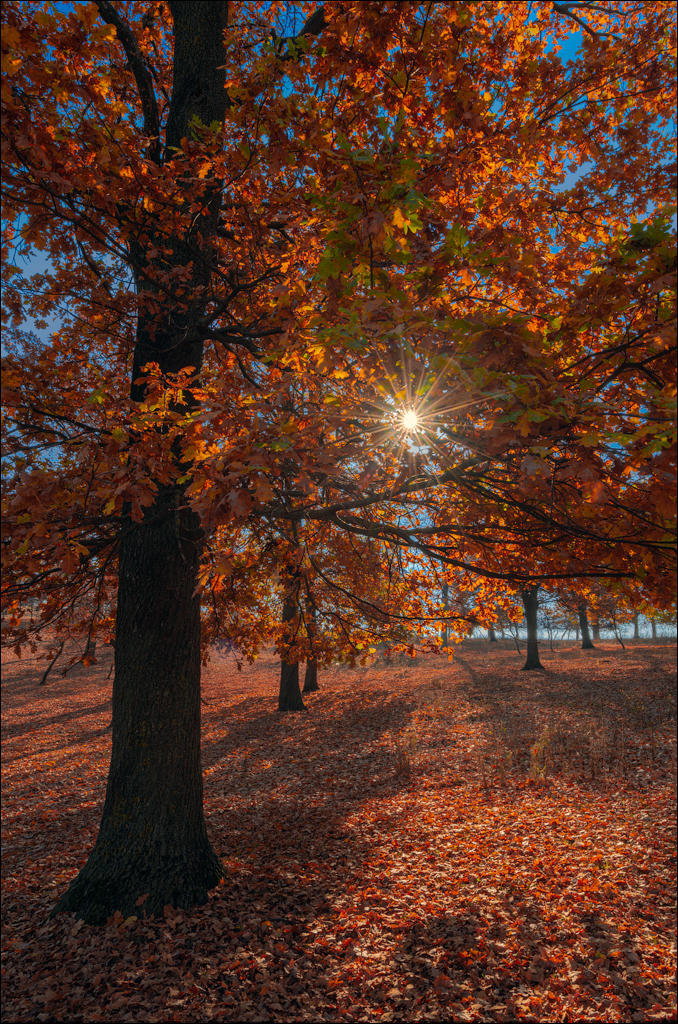 Trinca Gordinesti 29 30oct2021 129