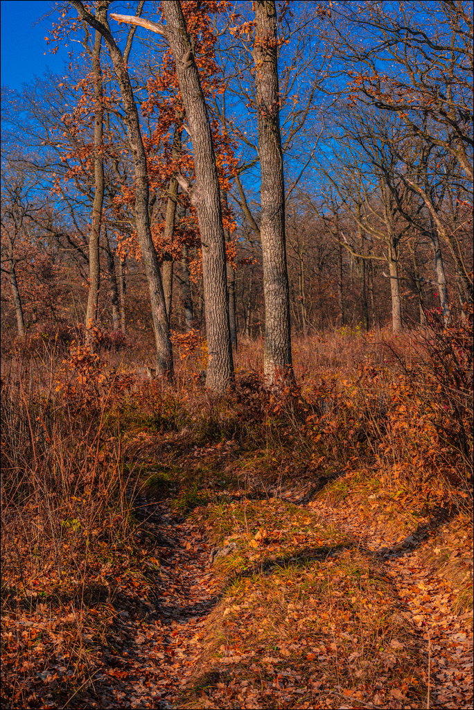Trinca Gordinesti 29 30oct2021 170