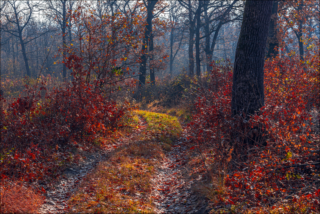Trinca Gordinesti 29 30oct2021 171