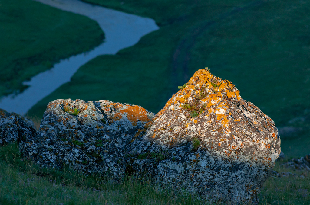 Burlanesti 20052006 100
