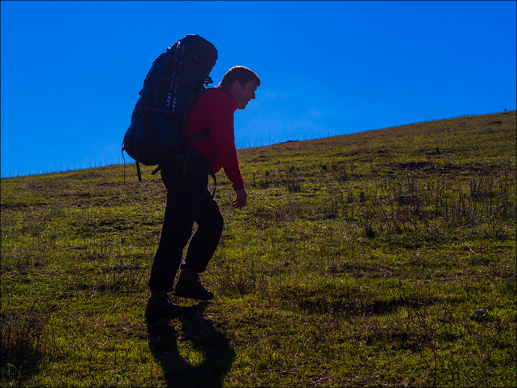 Corjeuti Fetesti 20172016122621