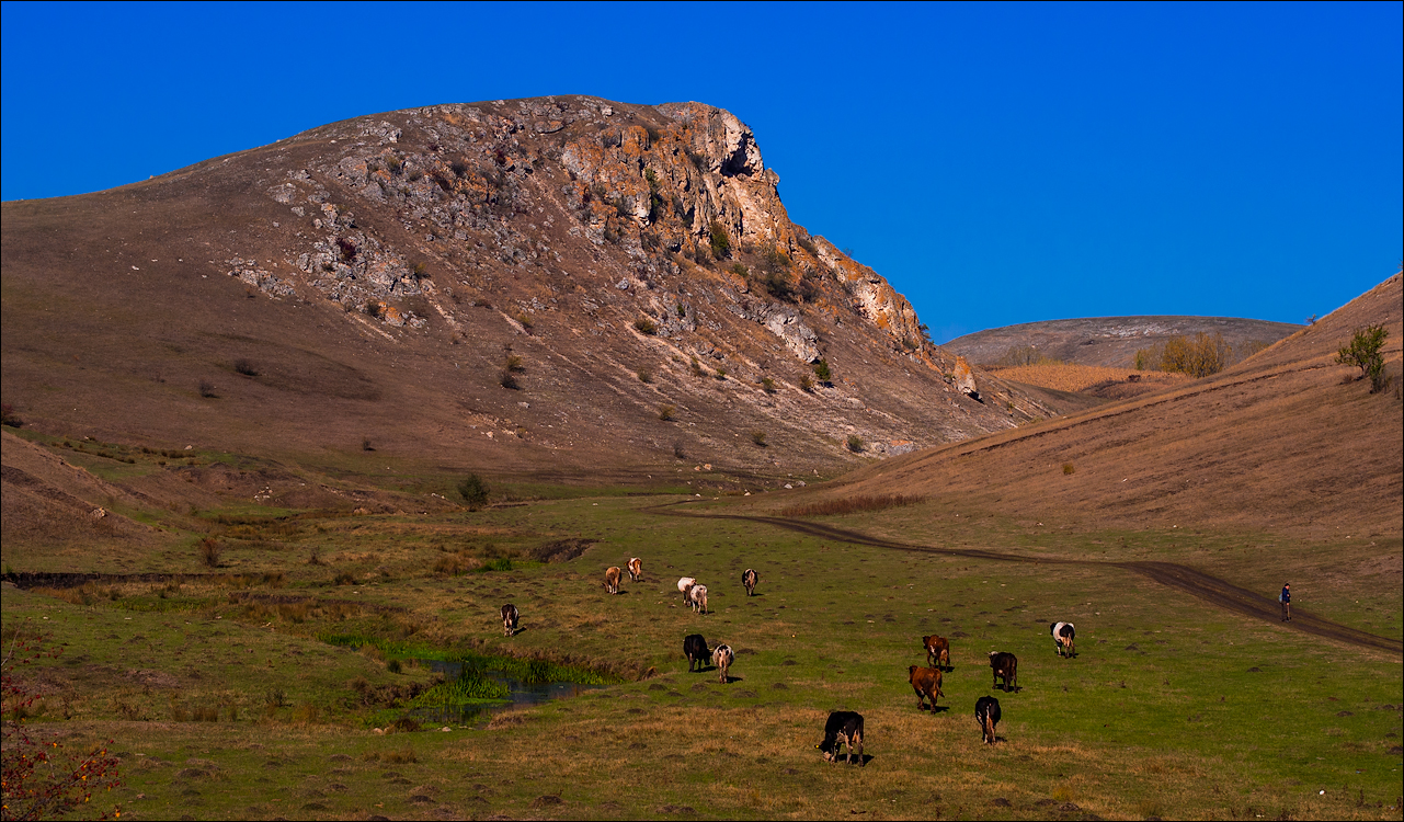 Corjeuti Fetesti 20172016122632