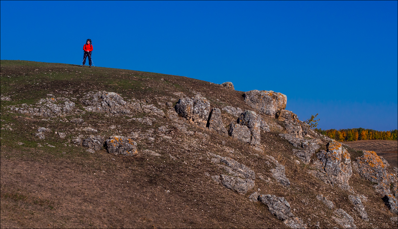 Corjeuti Fetesti 20172016122639