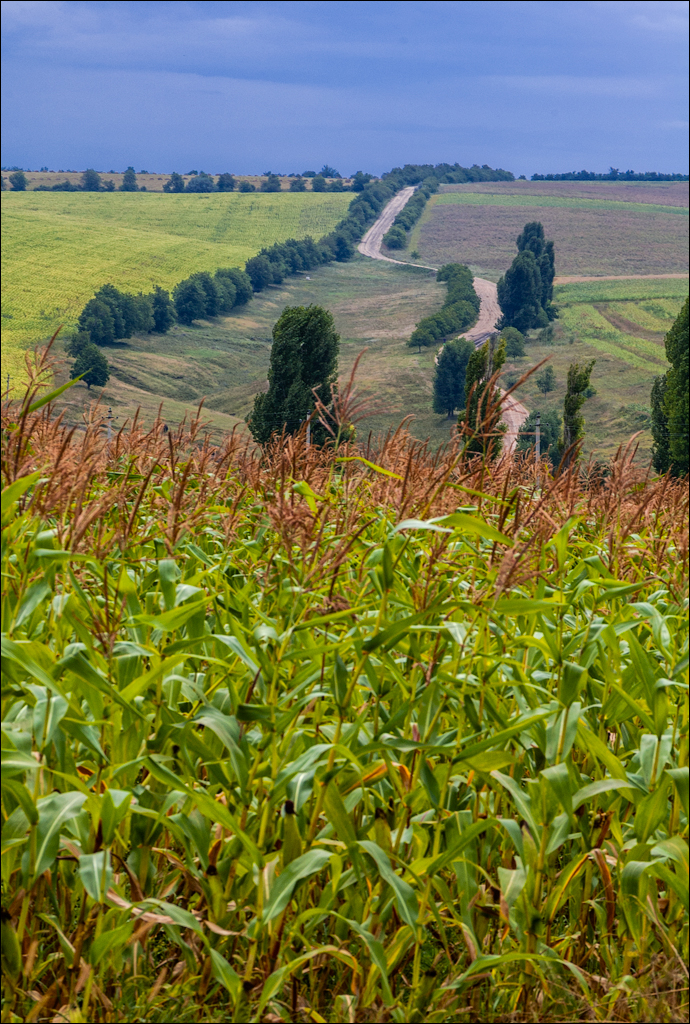 Tvipova Nostalgie 20050820103