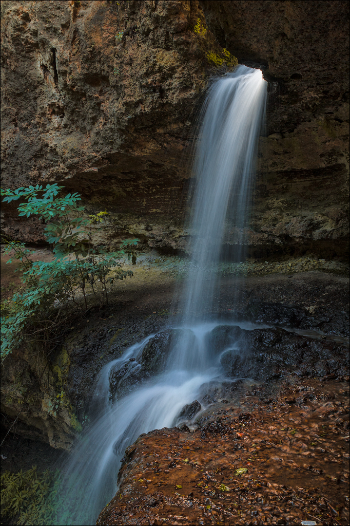 Tvipova Nostalgie 20050820141