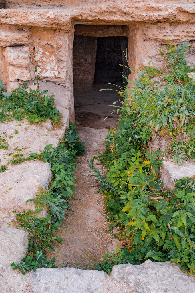 Tvipova Kotorogo Net 20060611003