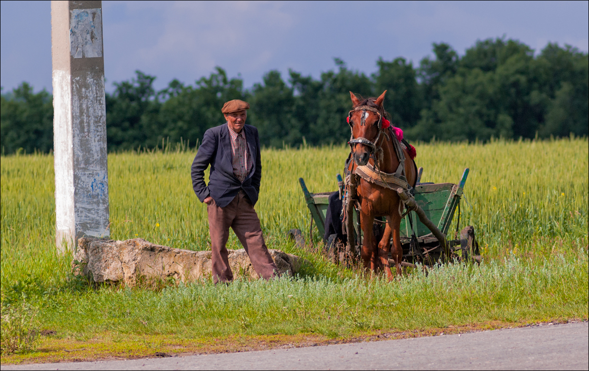 Tvipova Kotorogo Net 20060611036
