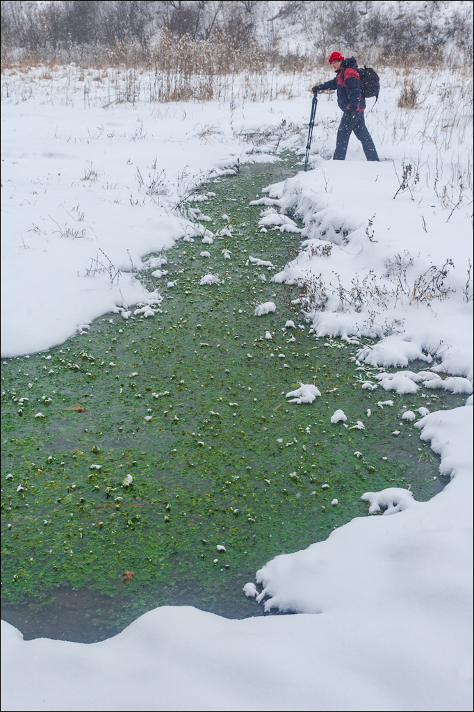 Tipova Poslezavtra 20060611002