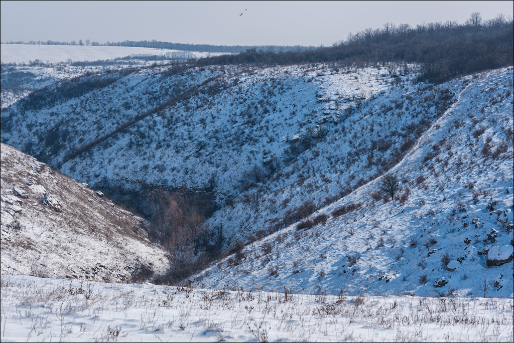 Tipova Mar 20180310013